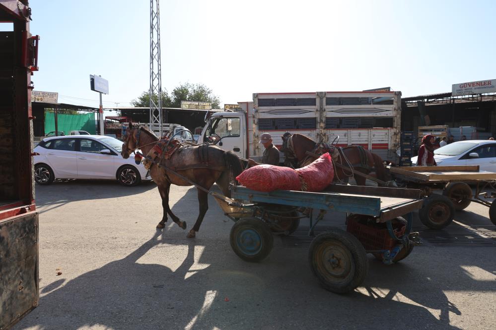 Aydın Kadınlar (2)