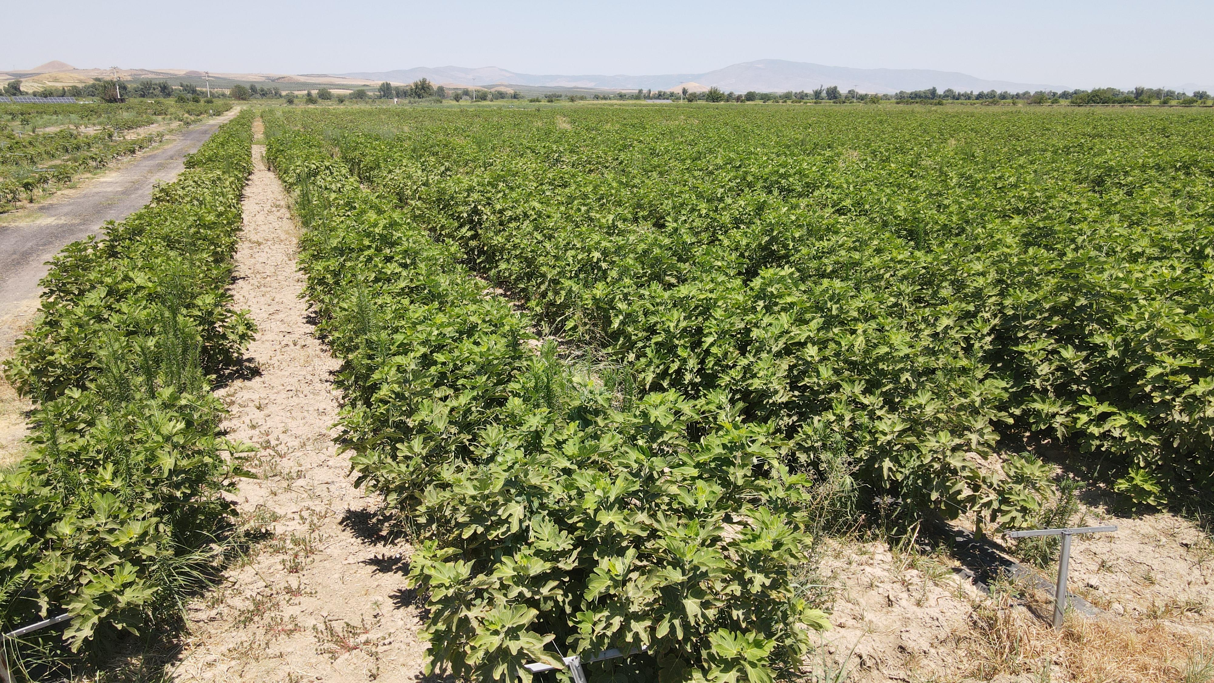 Bb5648C2 6B7C 42C2 89F8 D0Fbca52179F