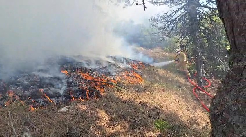 Bolu Orman Yangını (2)