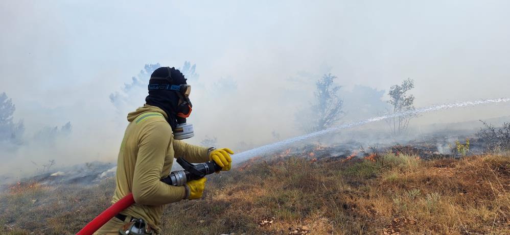 Bolu Orman Yangını (3)
