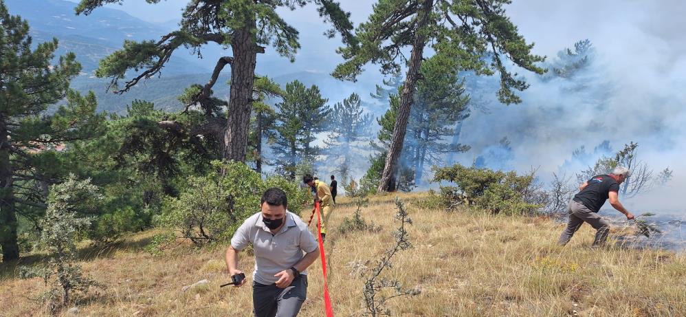 Bolu Orman Yangını (4)