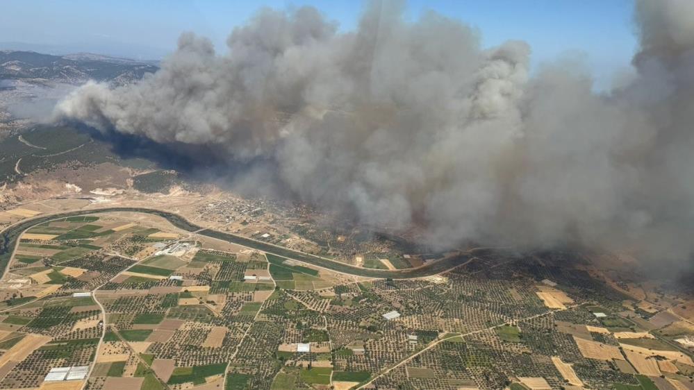 Çanakkale Orman (2)