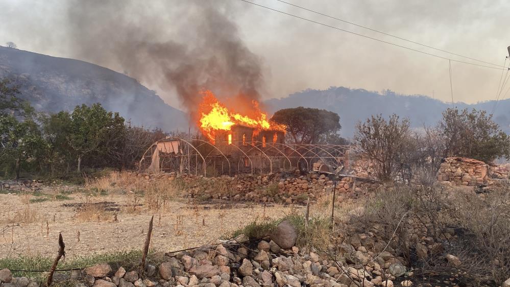 Çanakkale Orman (3)