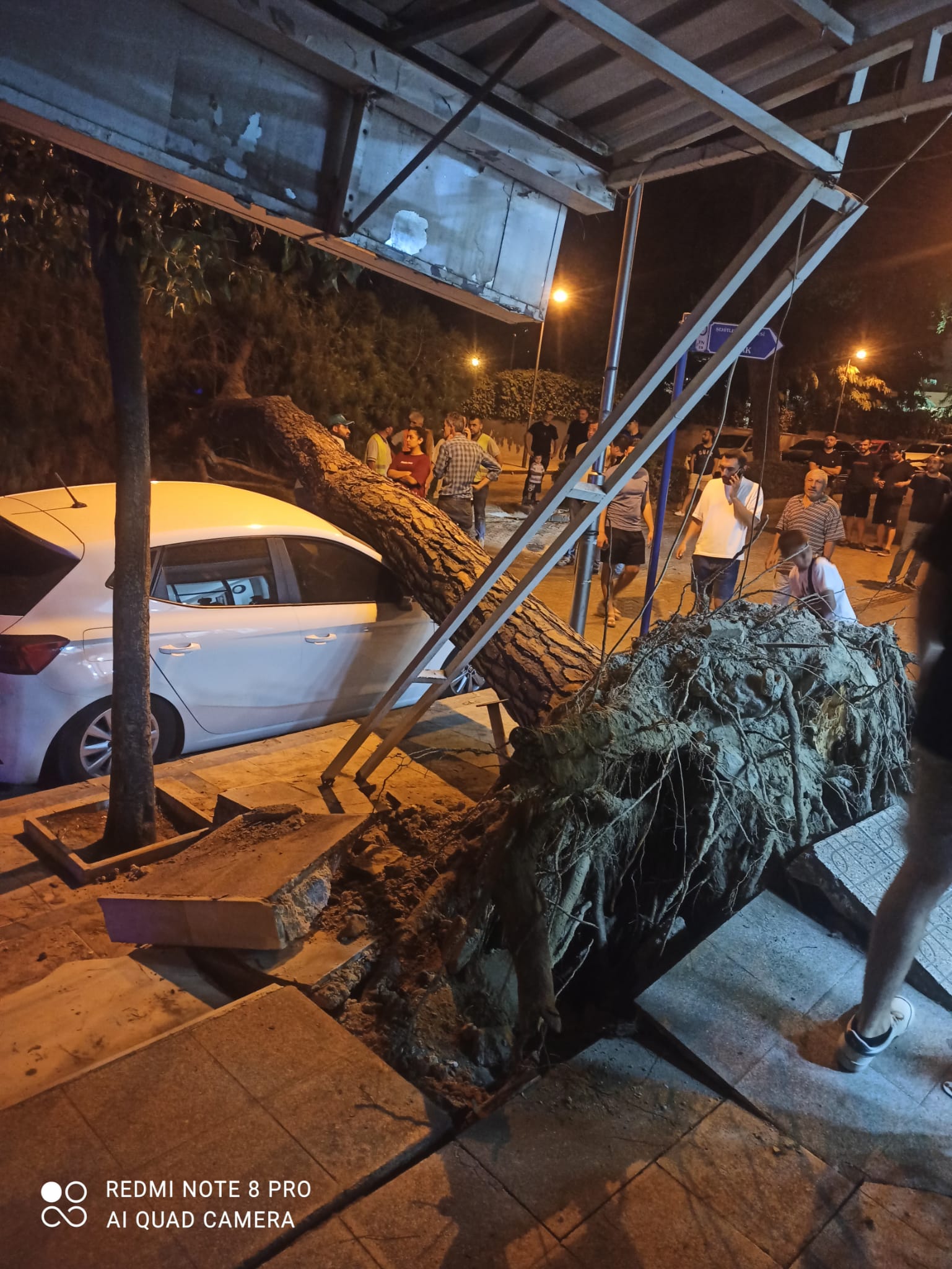 Ccf3D5C4 B662 40D2 A073 A6Ce126C03Ff