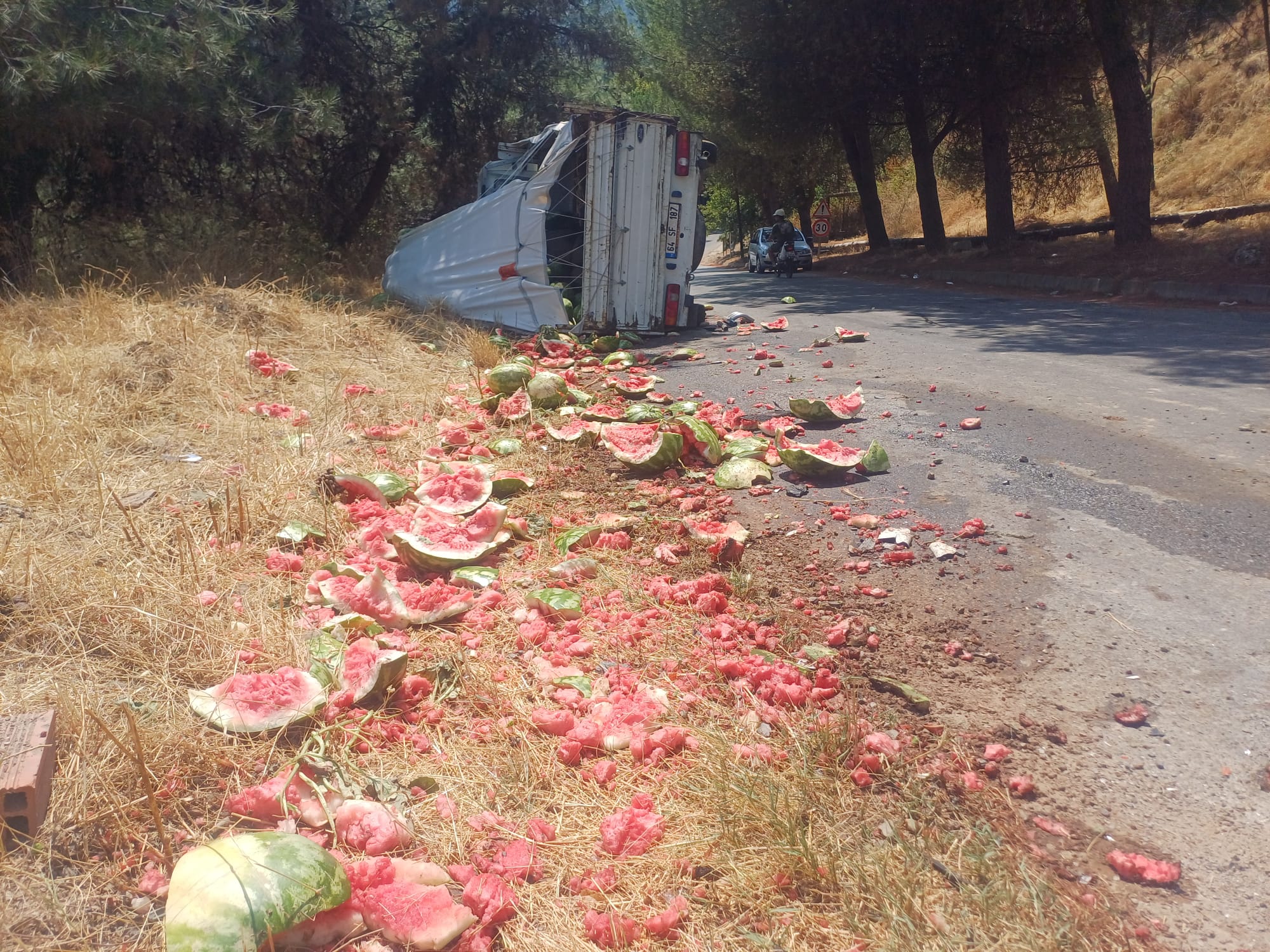 D7F76678 23E9 4804 B1F8 Bb27A0Cbacc6