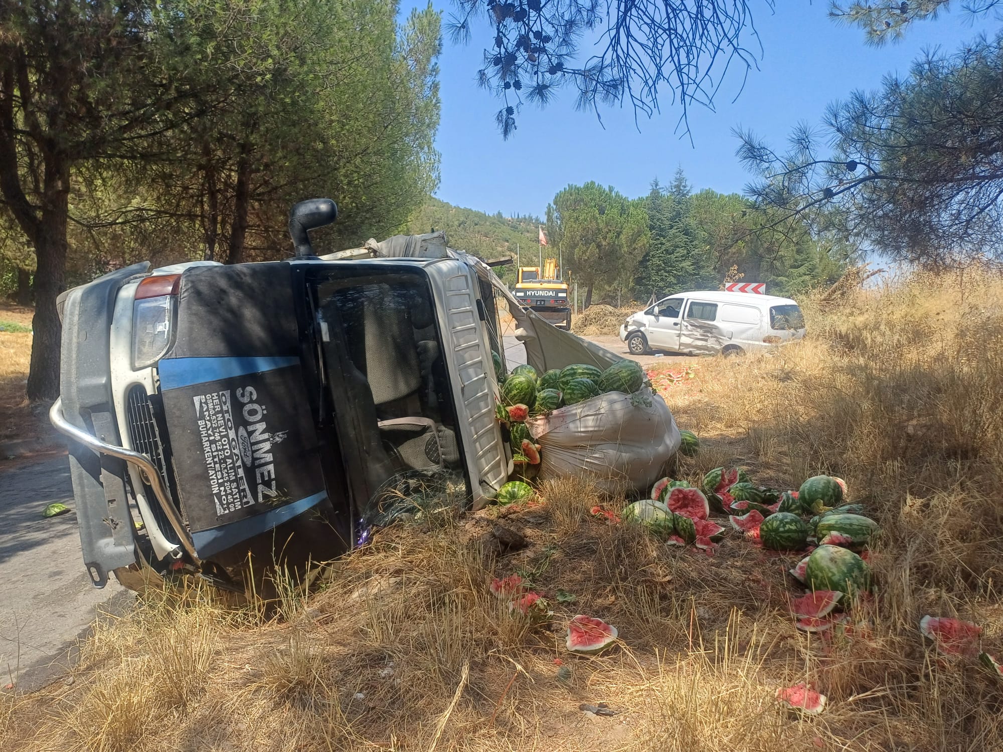 E70Ae55D 1130 416C 9F54 323E2Bd06F1D