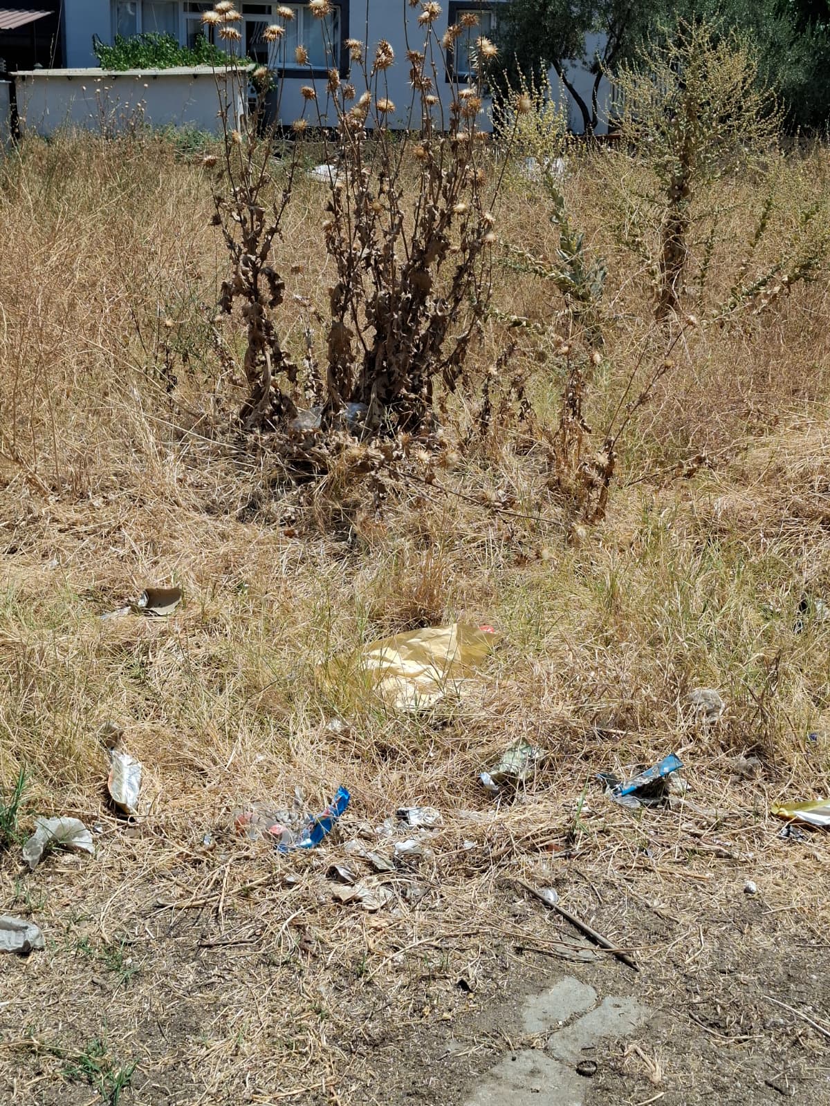 F45444C2 6C01 44Da A392 5Df19E33C69F