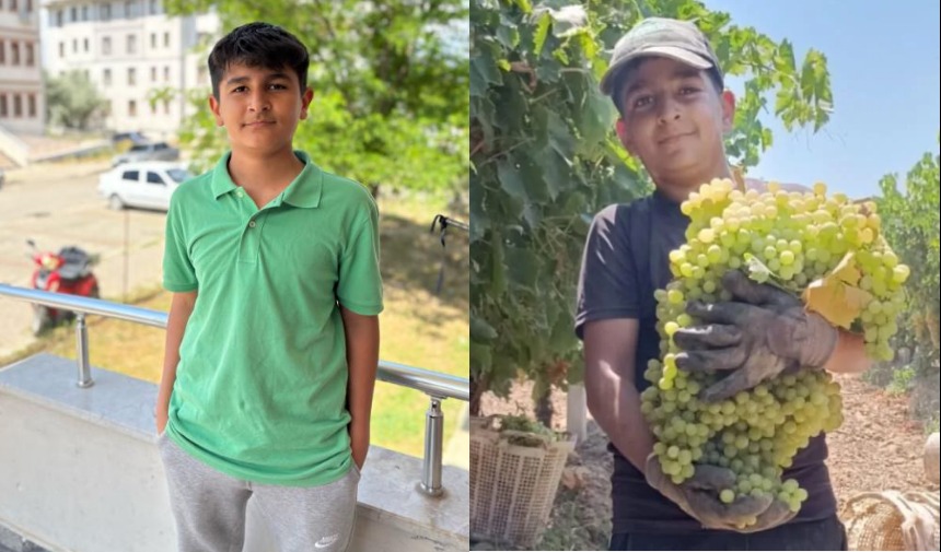 Fa867Ff8 4942 40A1 97Bc 452C246529Fe