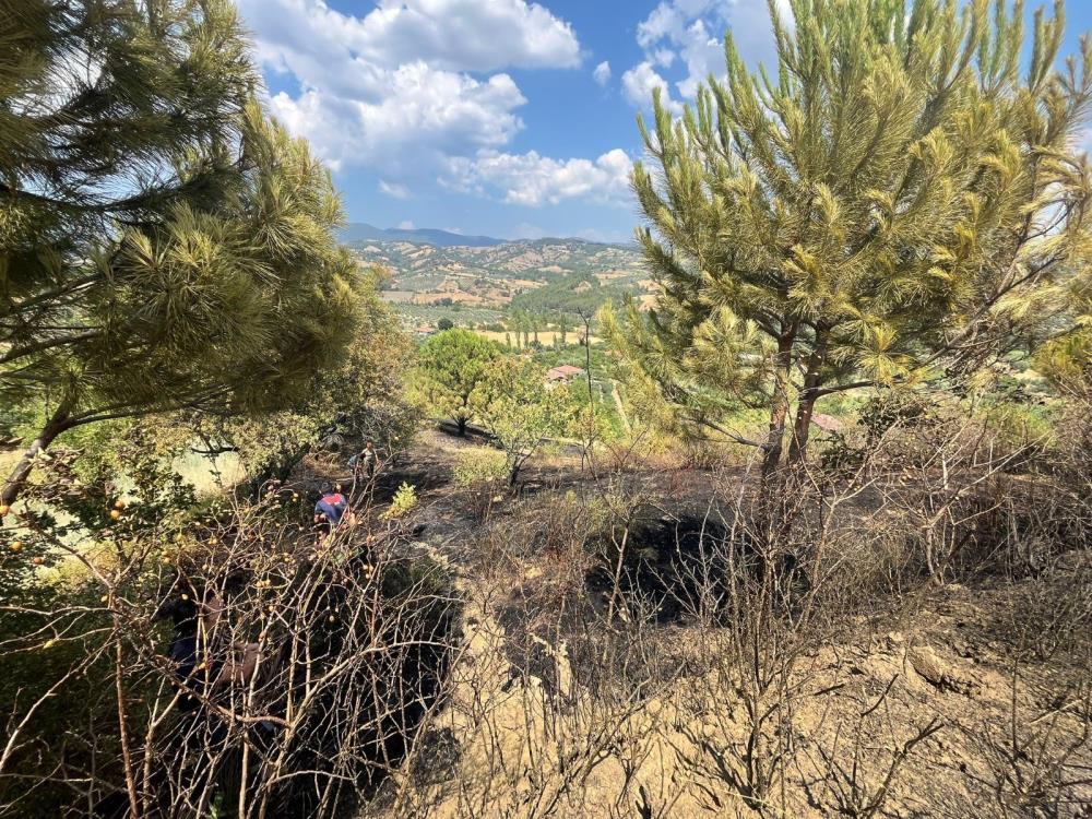 Gördes Elektrik (2)