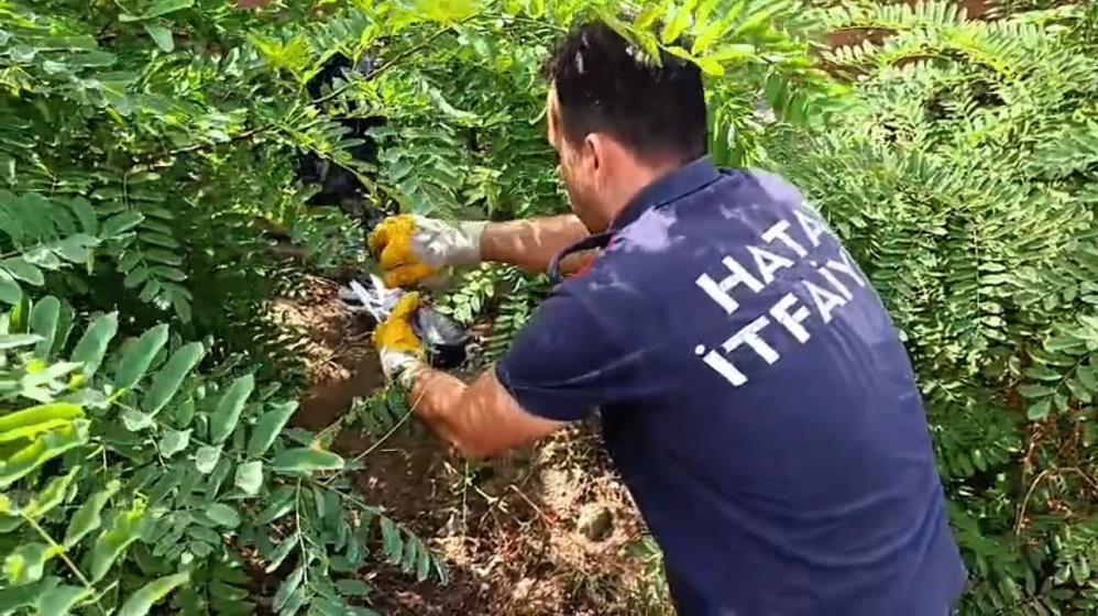 Hatay Itfaiye Kuş (2)