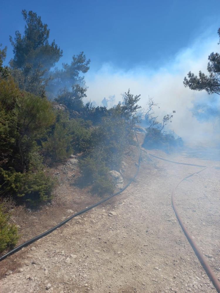 Kırkağaç Yangın (2)