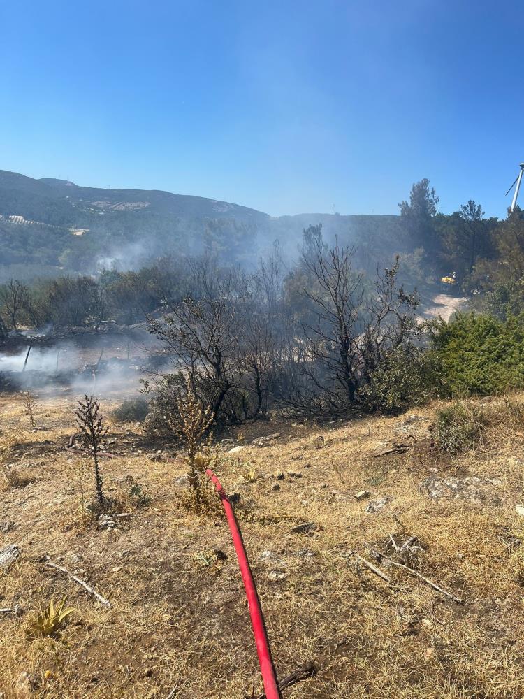 Kırkağaç Yangın (4)