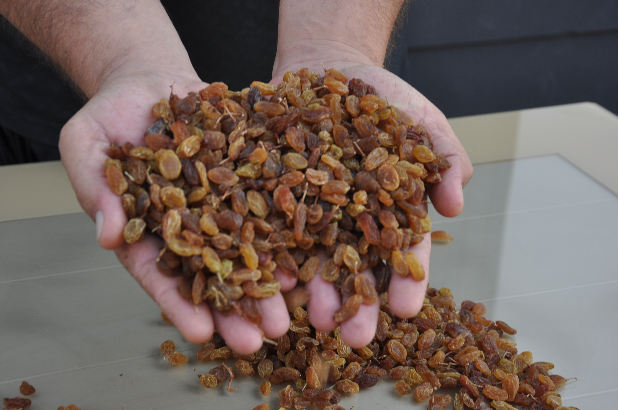 Murat Tarım Ürünleri (1)