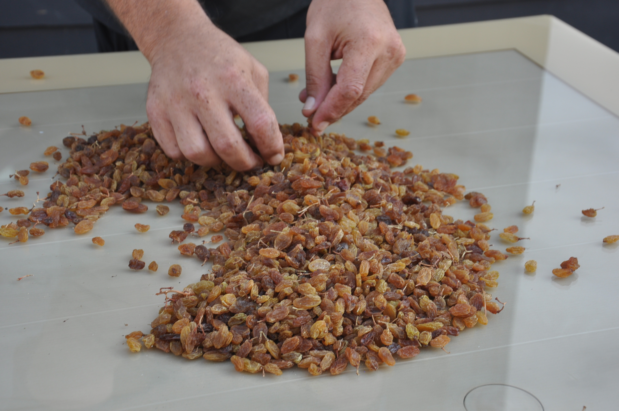 Murat Tarım Ürünleri (7)