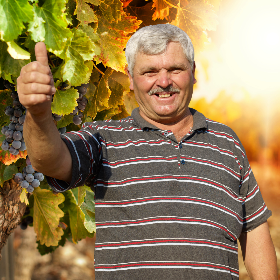 Gayet iyi, beklentim yönünde açıklandı.