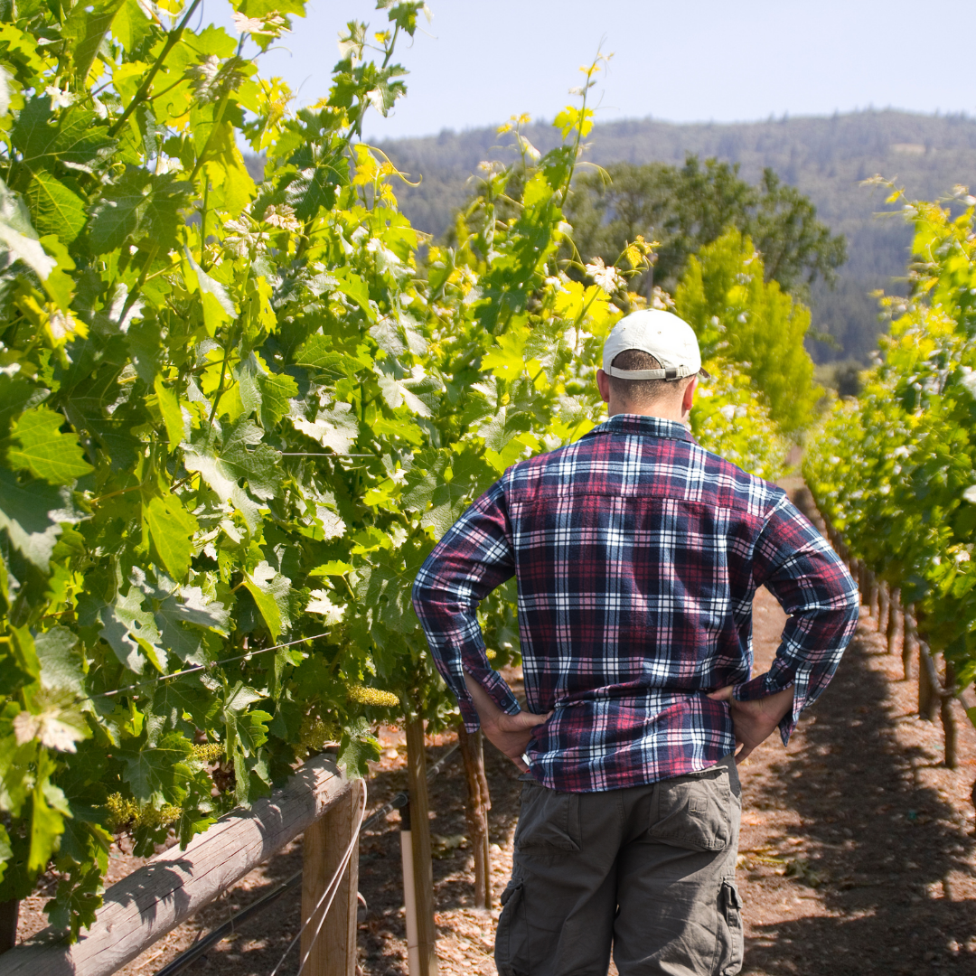Maalesef yetersiz, beklentimi karşılamadı...