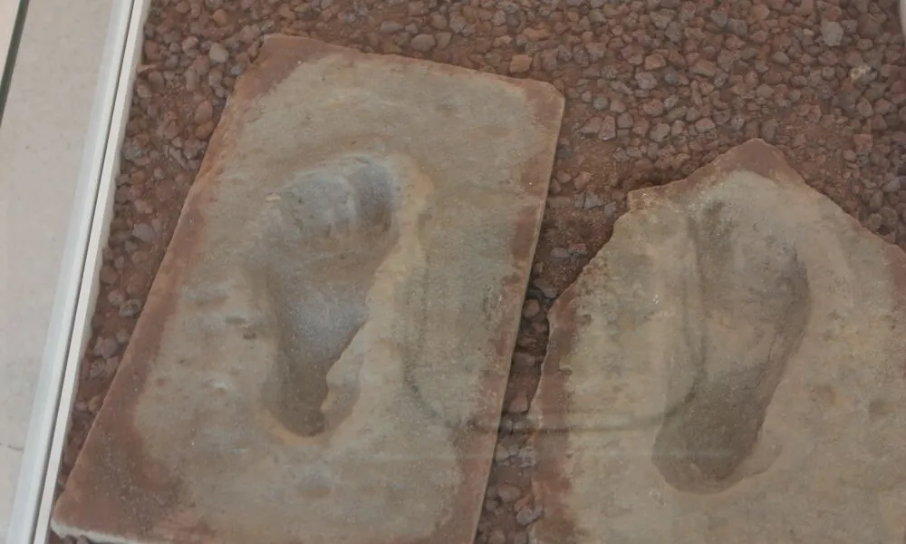 Salihli Fosil Ayak Izi