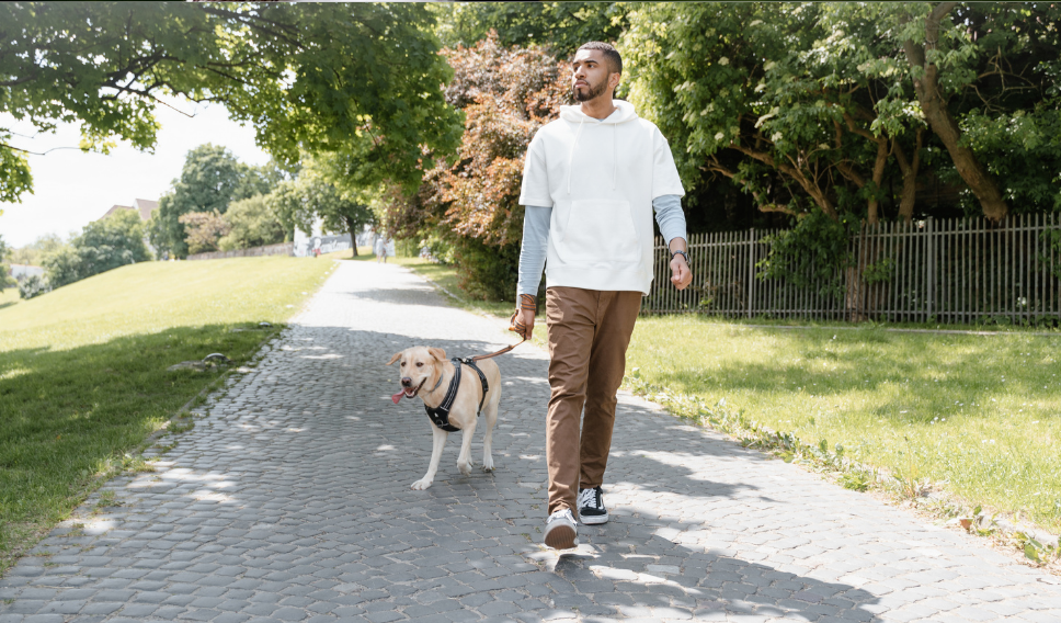 Surekli Yorgun Musunuz 2