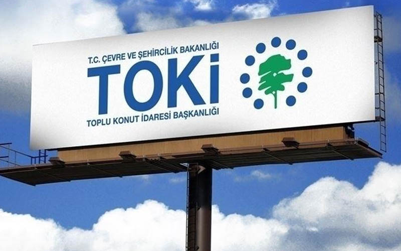 Toki (1)-6