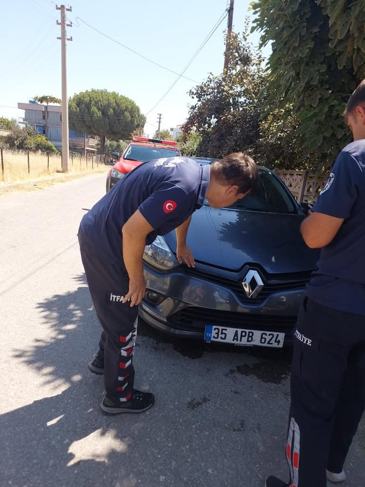 Whatsapp Image 2025 08 12 At 15.27.39 (1)