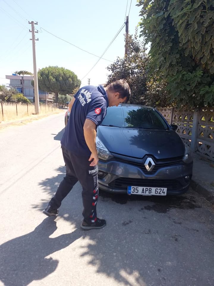 Whatsapp Image 2025 08 12 At 15.27.39