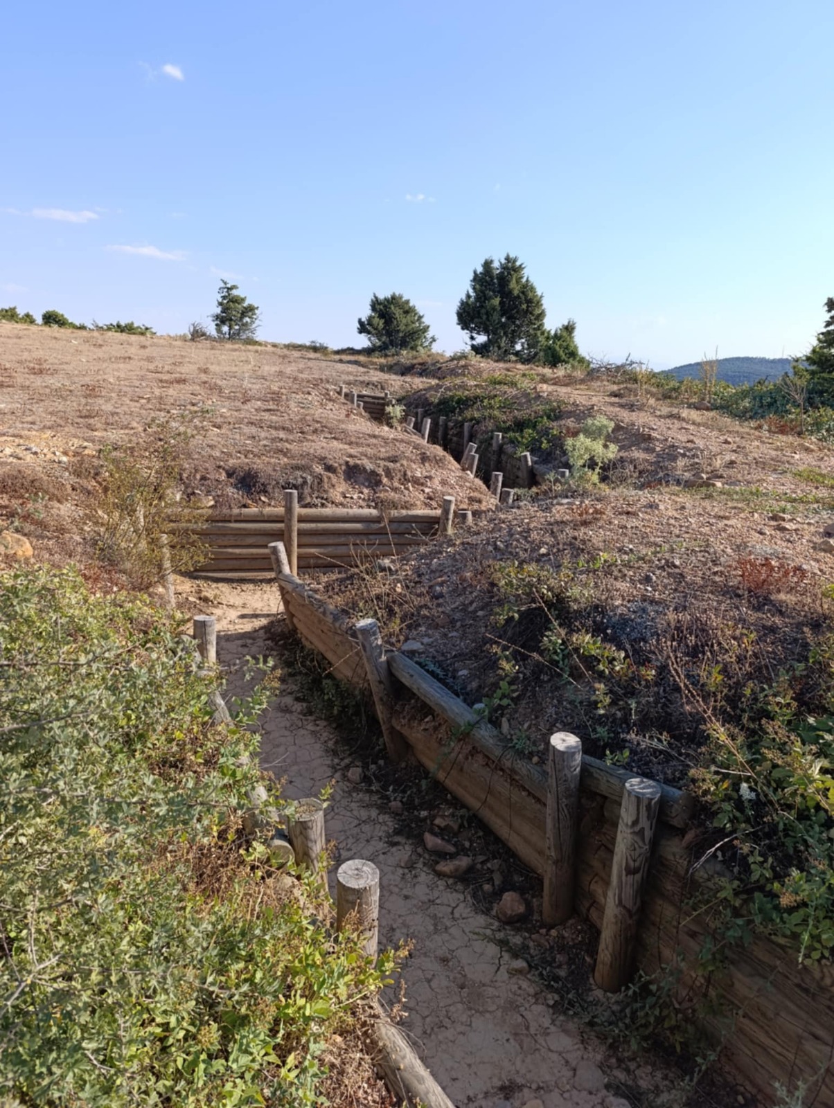 Whatsapp Image 2025 08 23 At 10.06.16 (1)