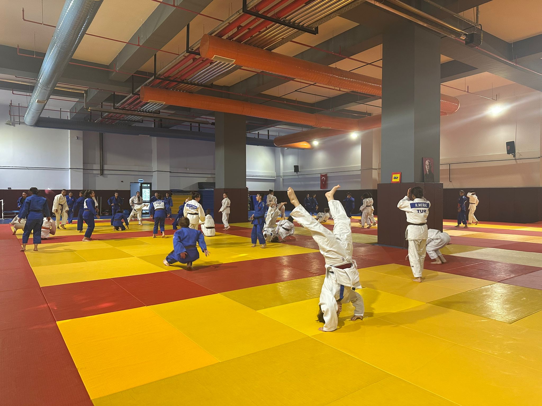 Yildiz Judo (6)