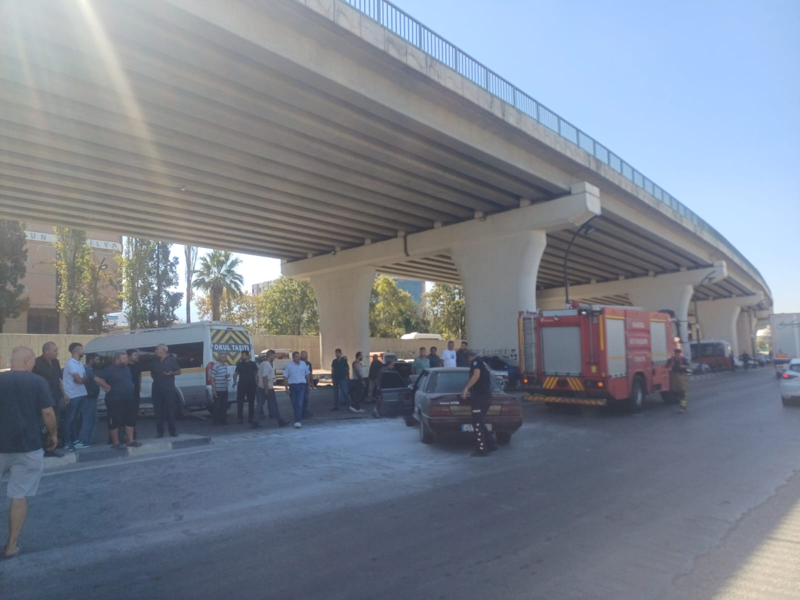 0B54Ba89 Fa16 4A23 B770 Ebdae3Cd9Dff