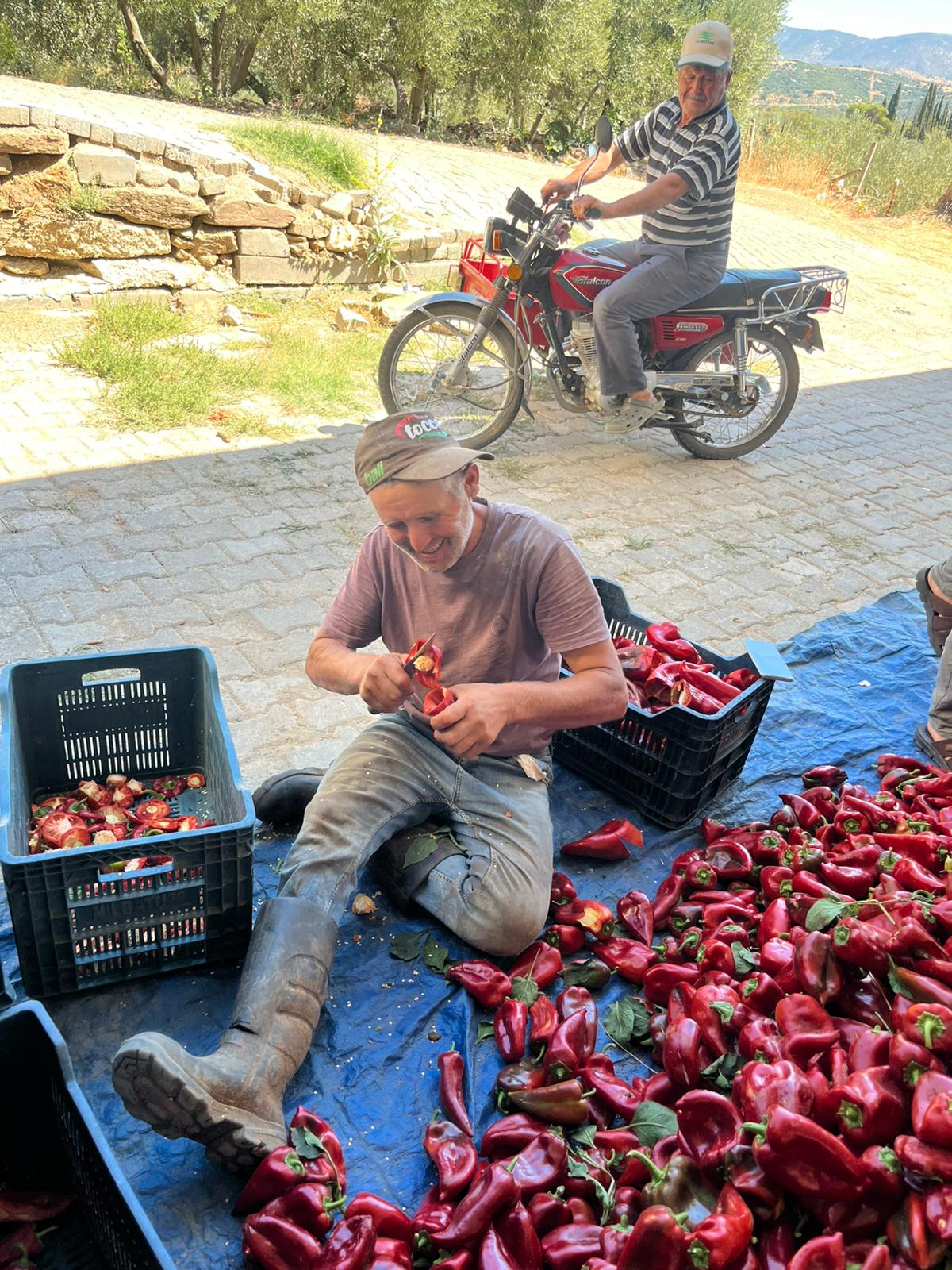 19D40751 Eb83 486C 98Ed 2E9C5D4Aaab8