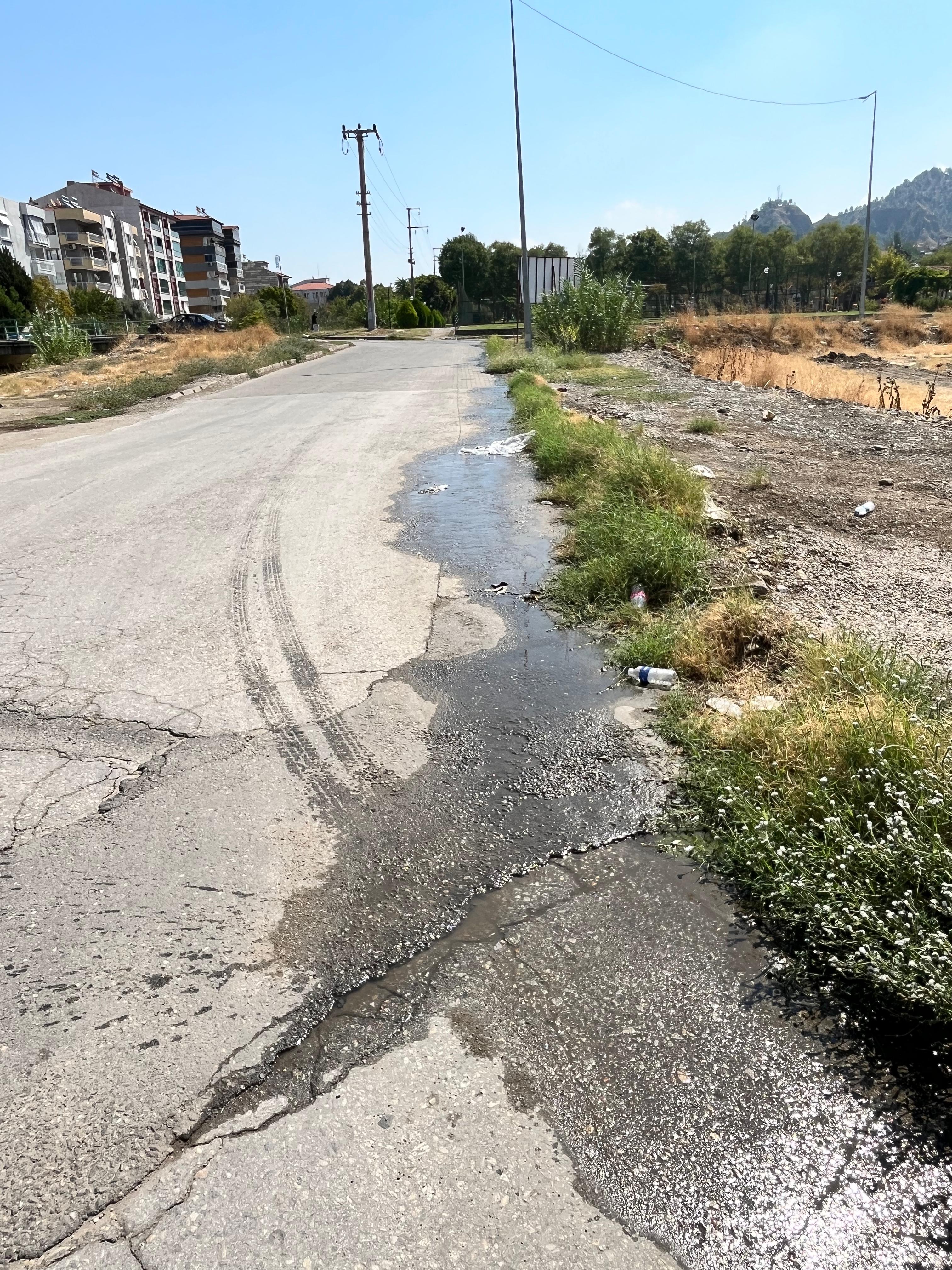 2624F55C 8B1D 43B7 B017 83089939E7Be