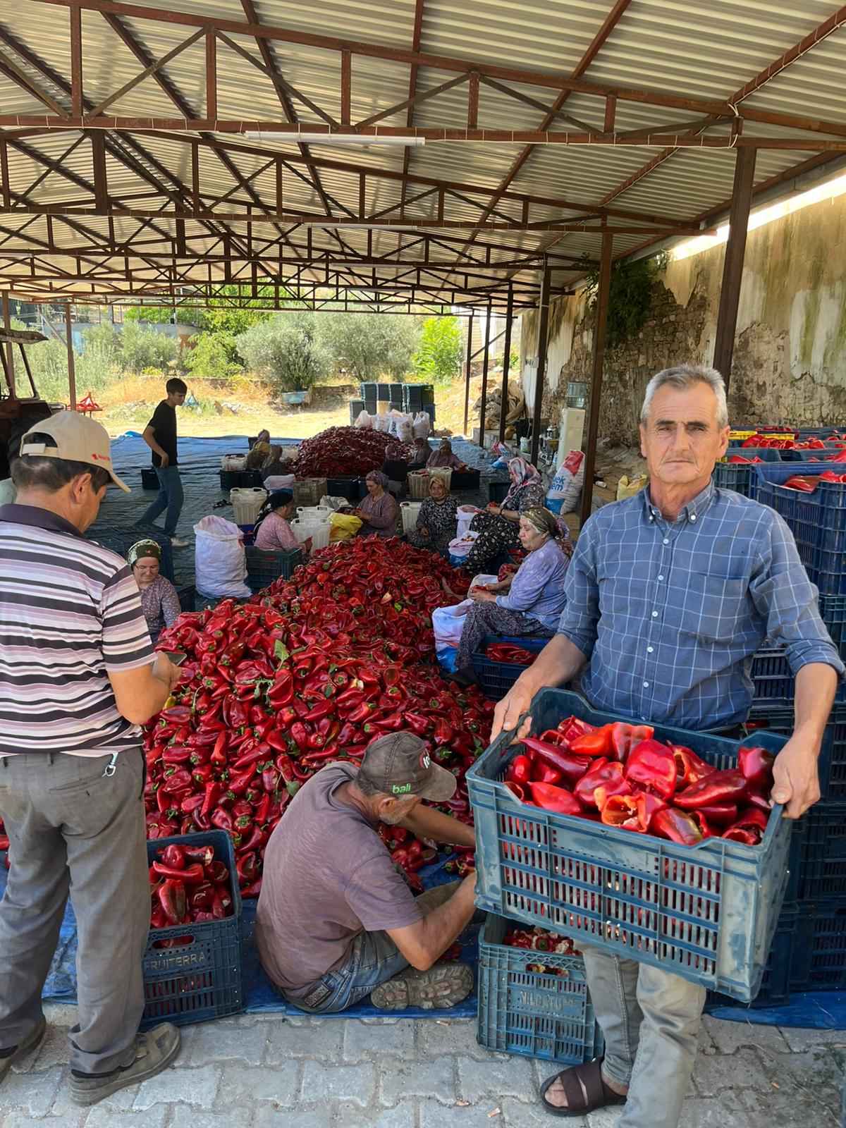 315Bf012 E1Cd 4284 Bc8B 6Abde88A2850