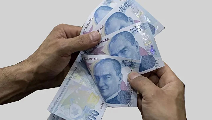 31A1750A Zirai Don Destegi 5