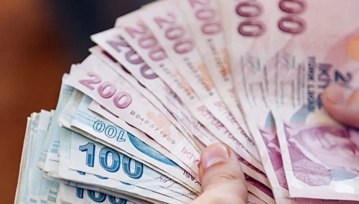 3209C8B8 Zirai Don Destegi 98