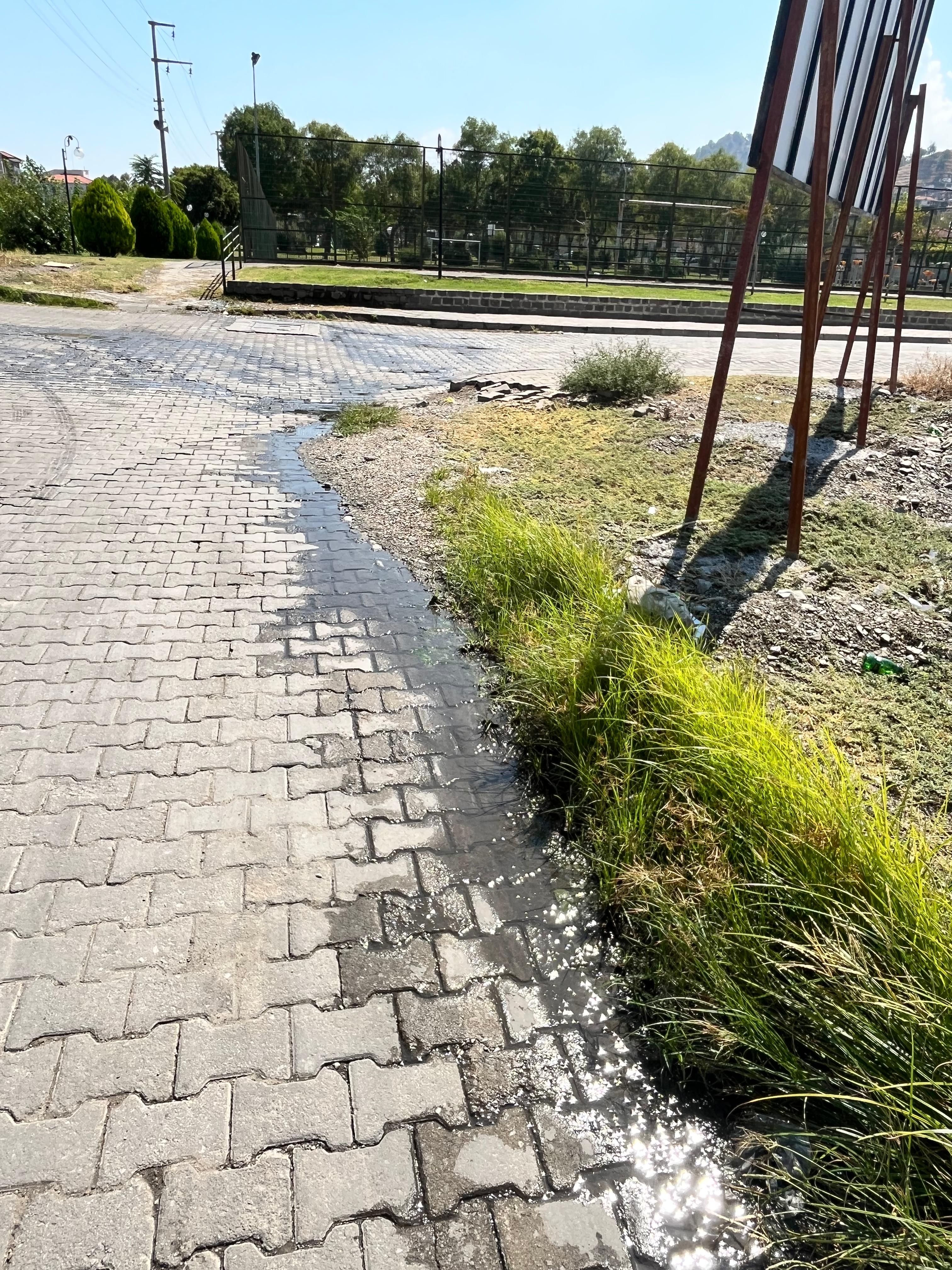 3756C686 Cb2A 4C65 B1E8 Cf263D99Ec6A