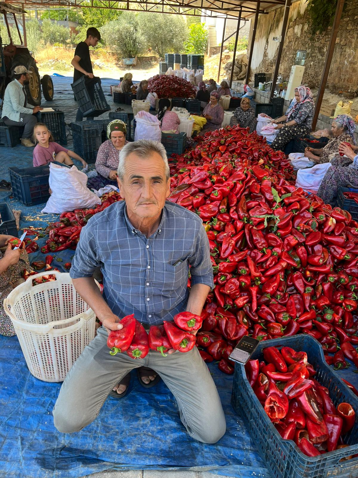 46F77D9E 06Ed 4441 8A0F 7759B1315E06