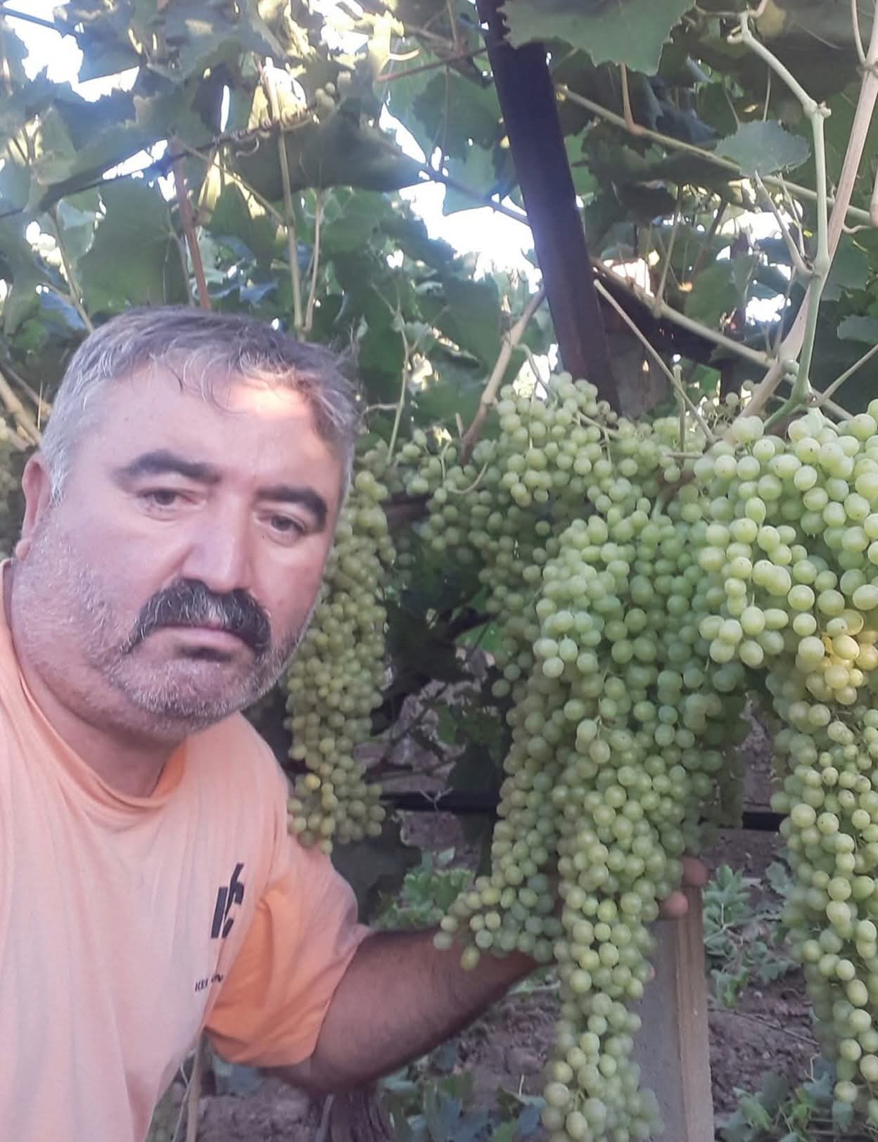 47Bb1D1F 0B9F 441B Afef 8986D818E8Dd-2