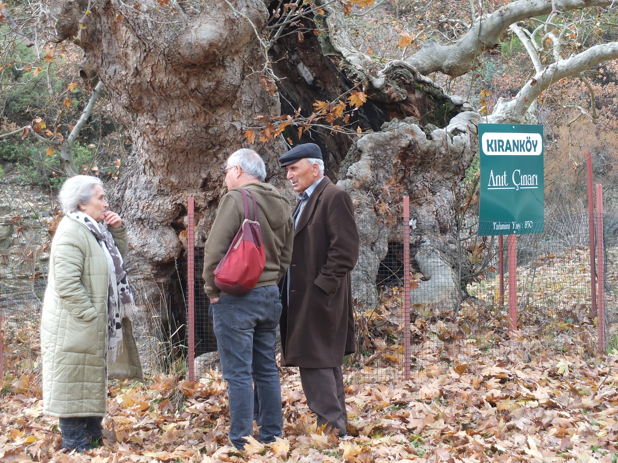 484632672 2538722449801561 8083769801102636658 N