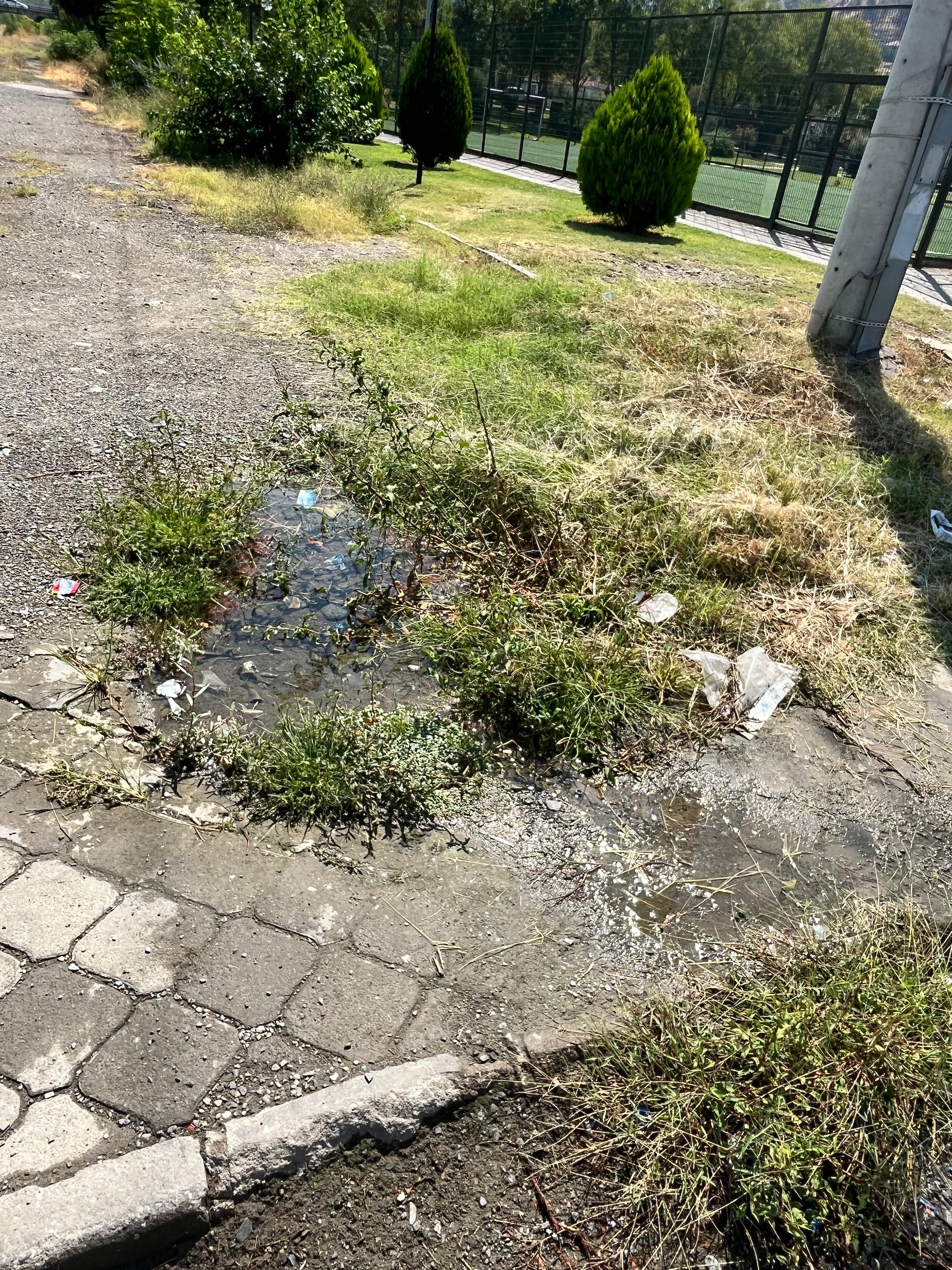 48E3C9A6 A51B 41E9 844E 13C48B399A20