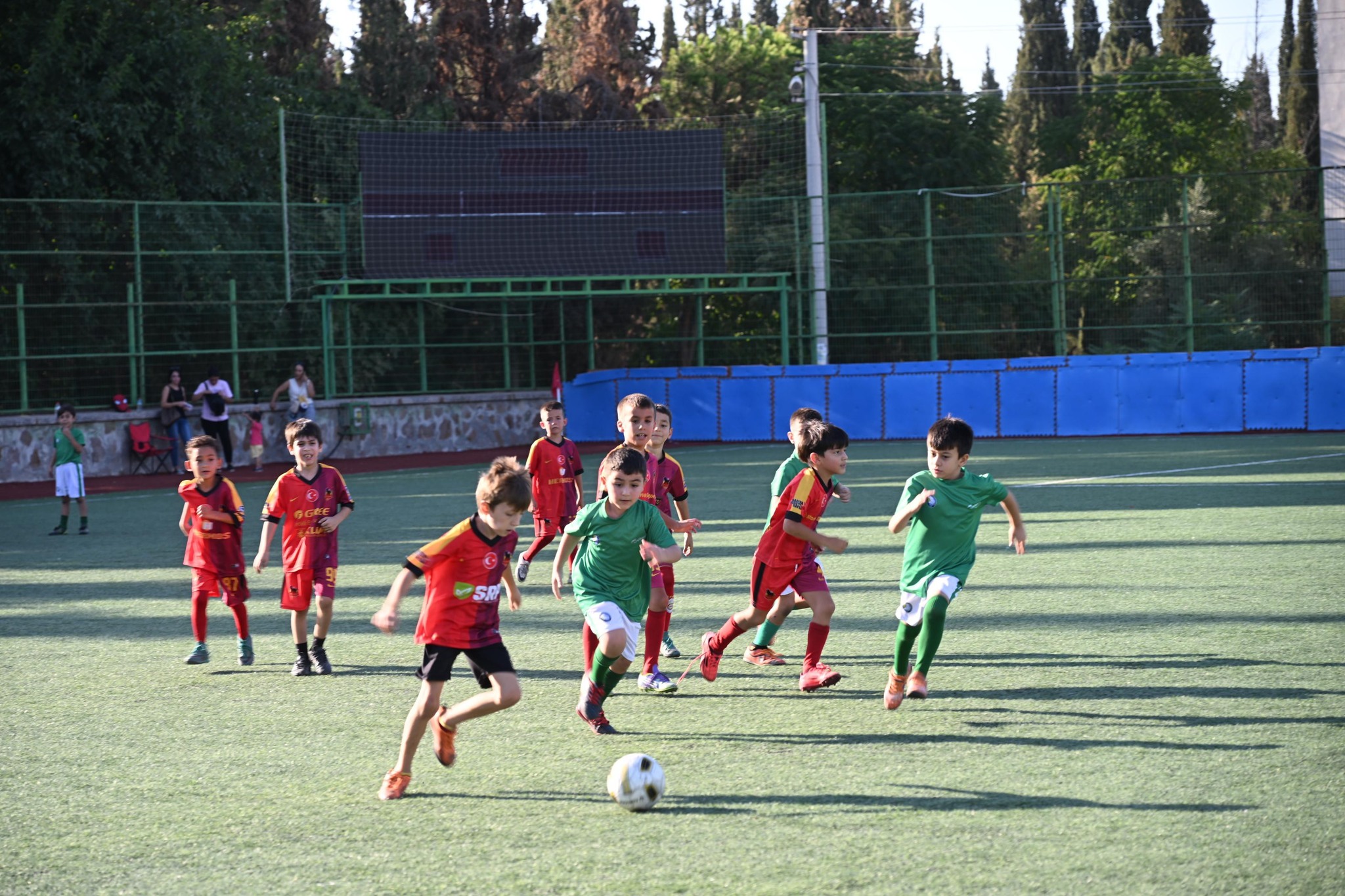 541798248 1190450979789926 5981432364296030994 N