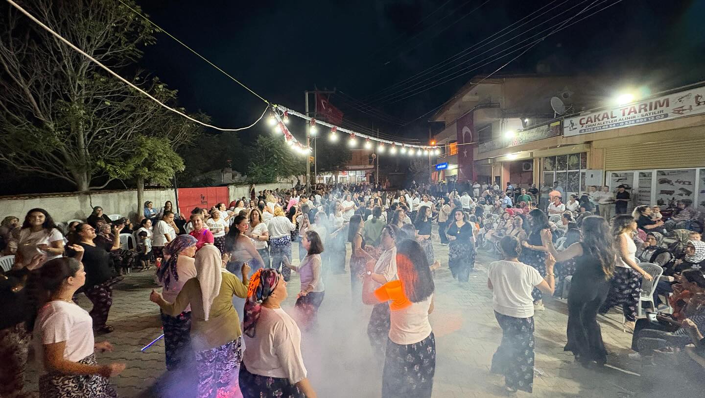 542473213 18149083951403044 7248900233975074182 N