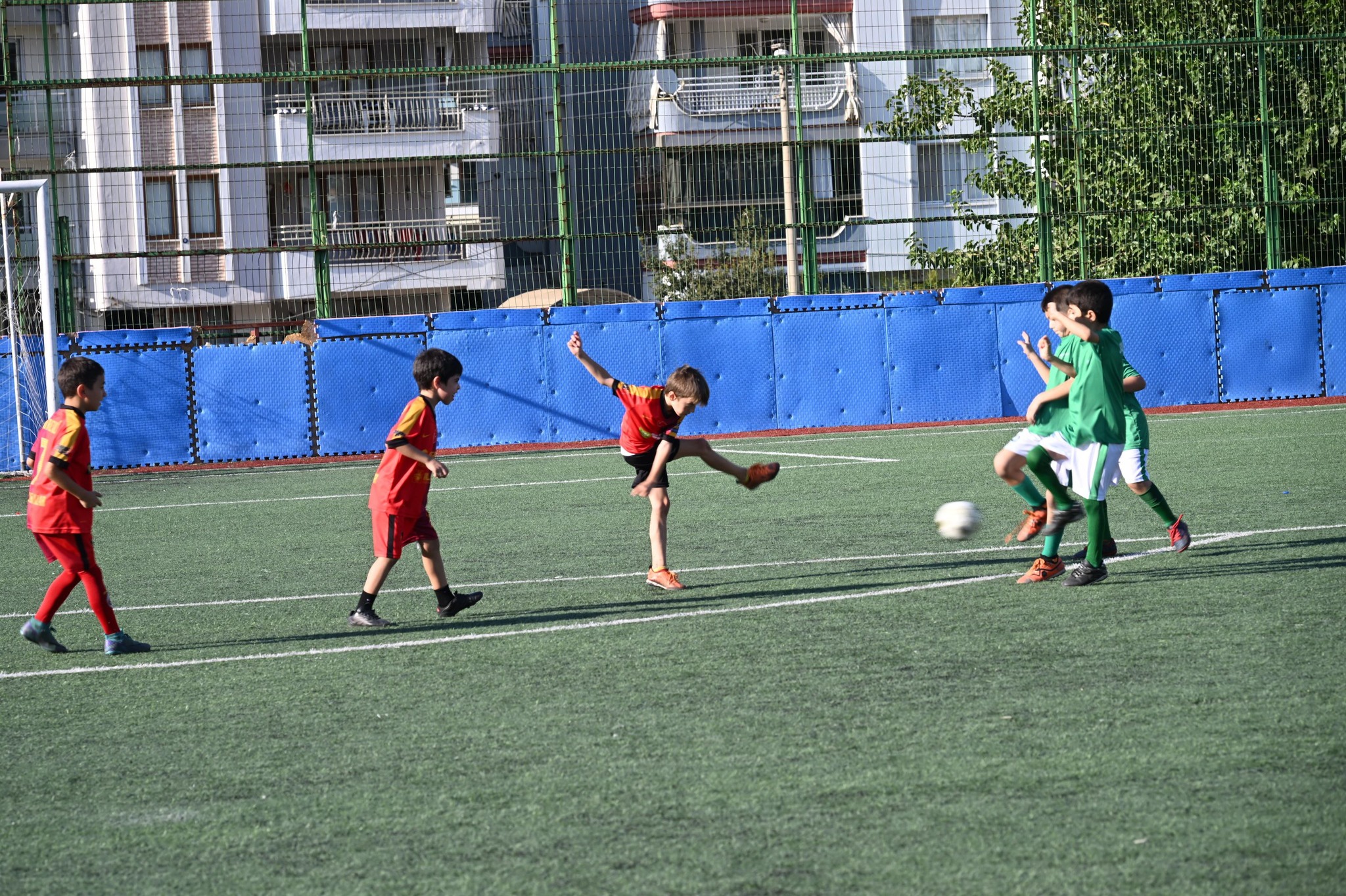 542756113 1190450506456640 338598697399773845 N