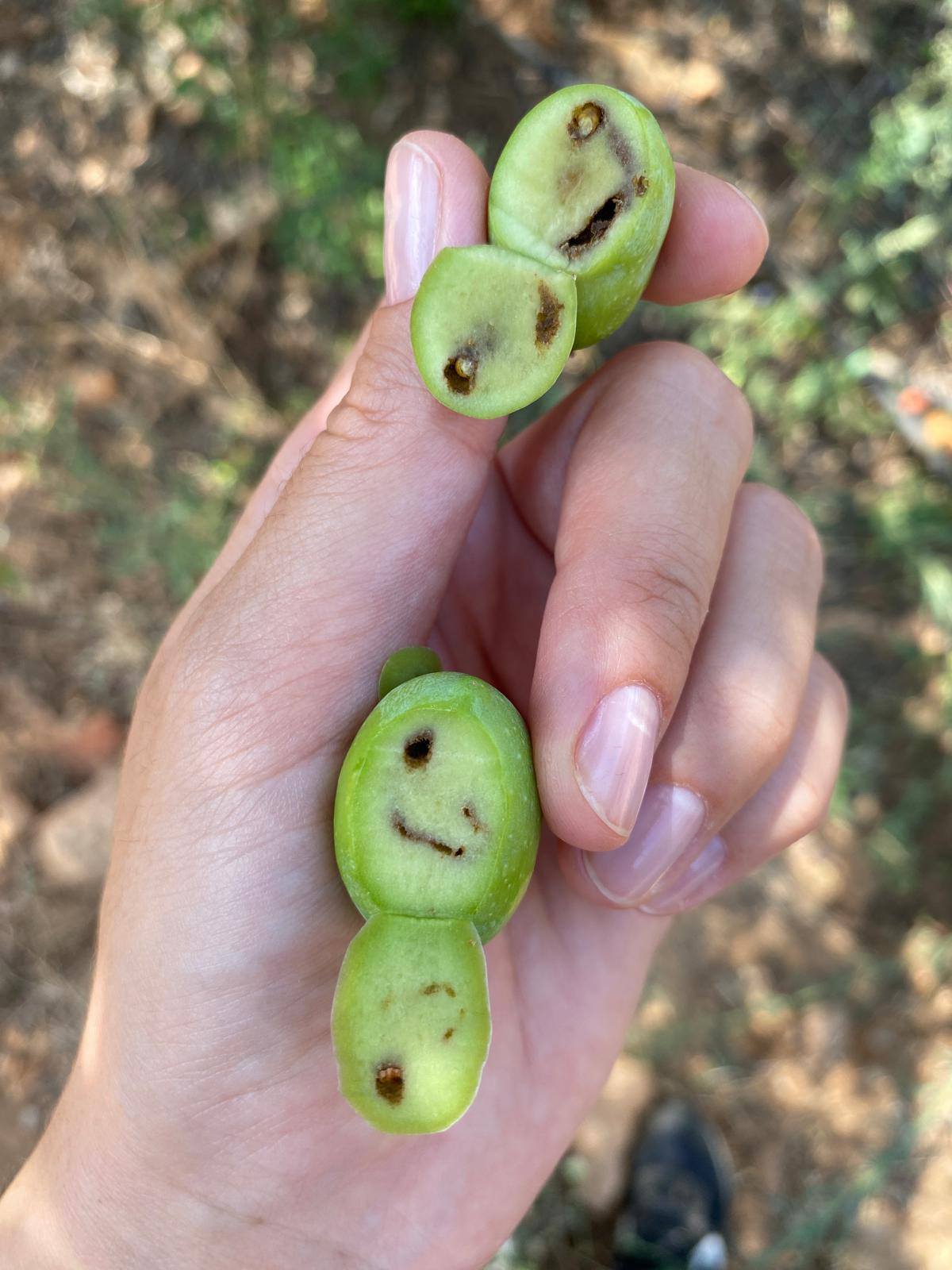 550946085 1225886782889541 8004822809009171893 N