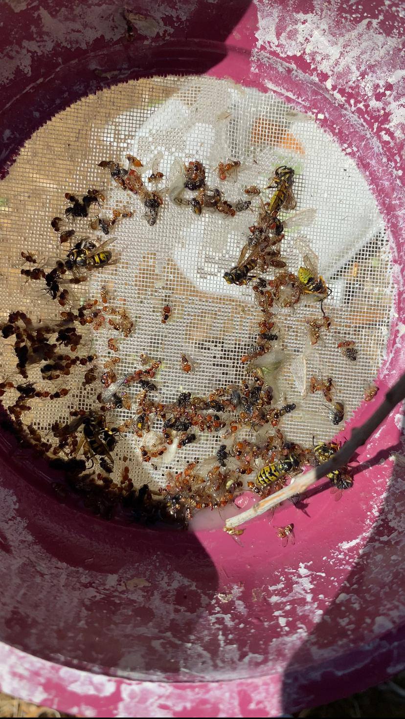 552295297 1225886819556204 1897110890789140879 N