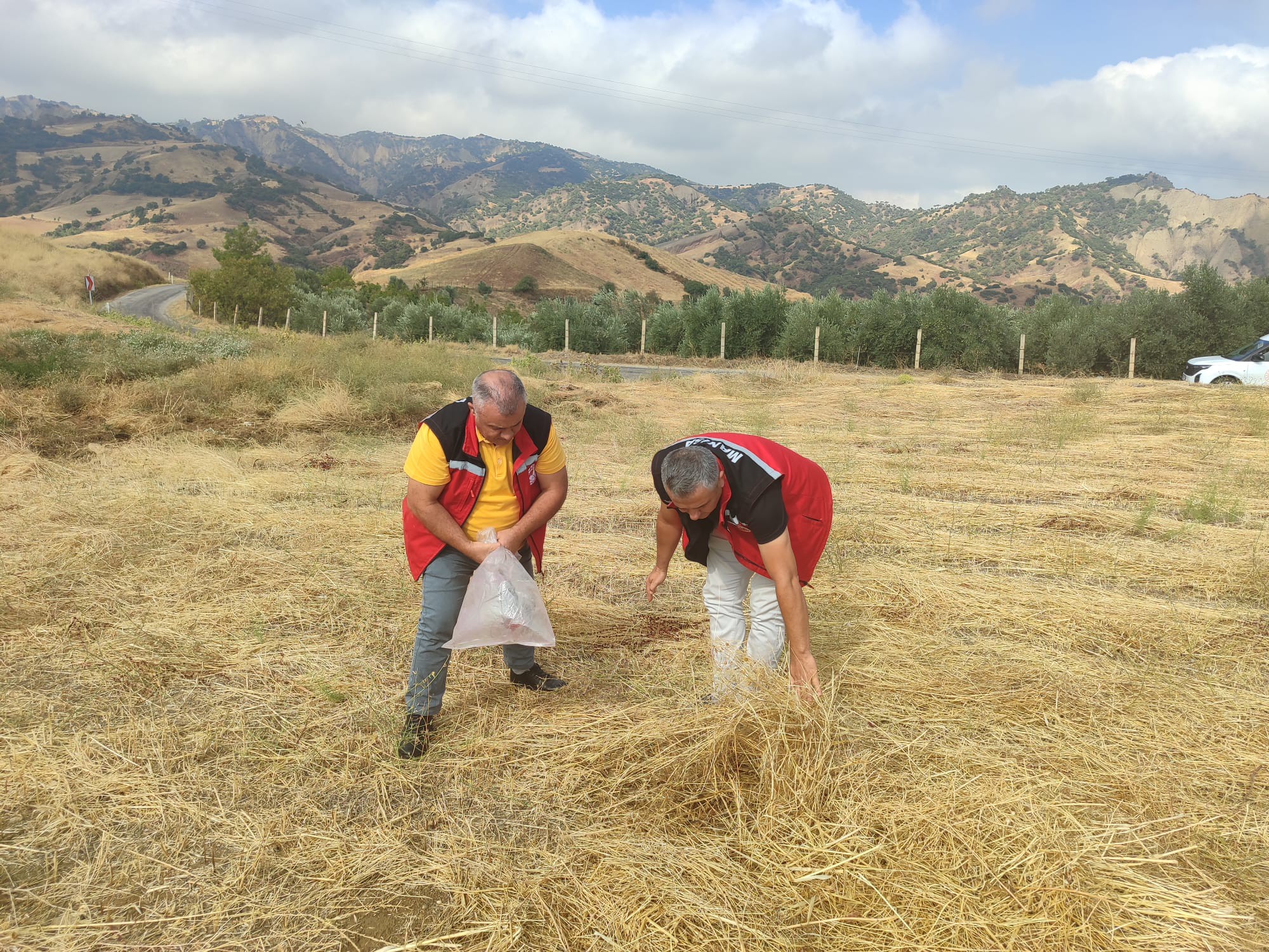 556730059 1232310502247169 8779581203138855980 N