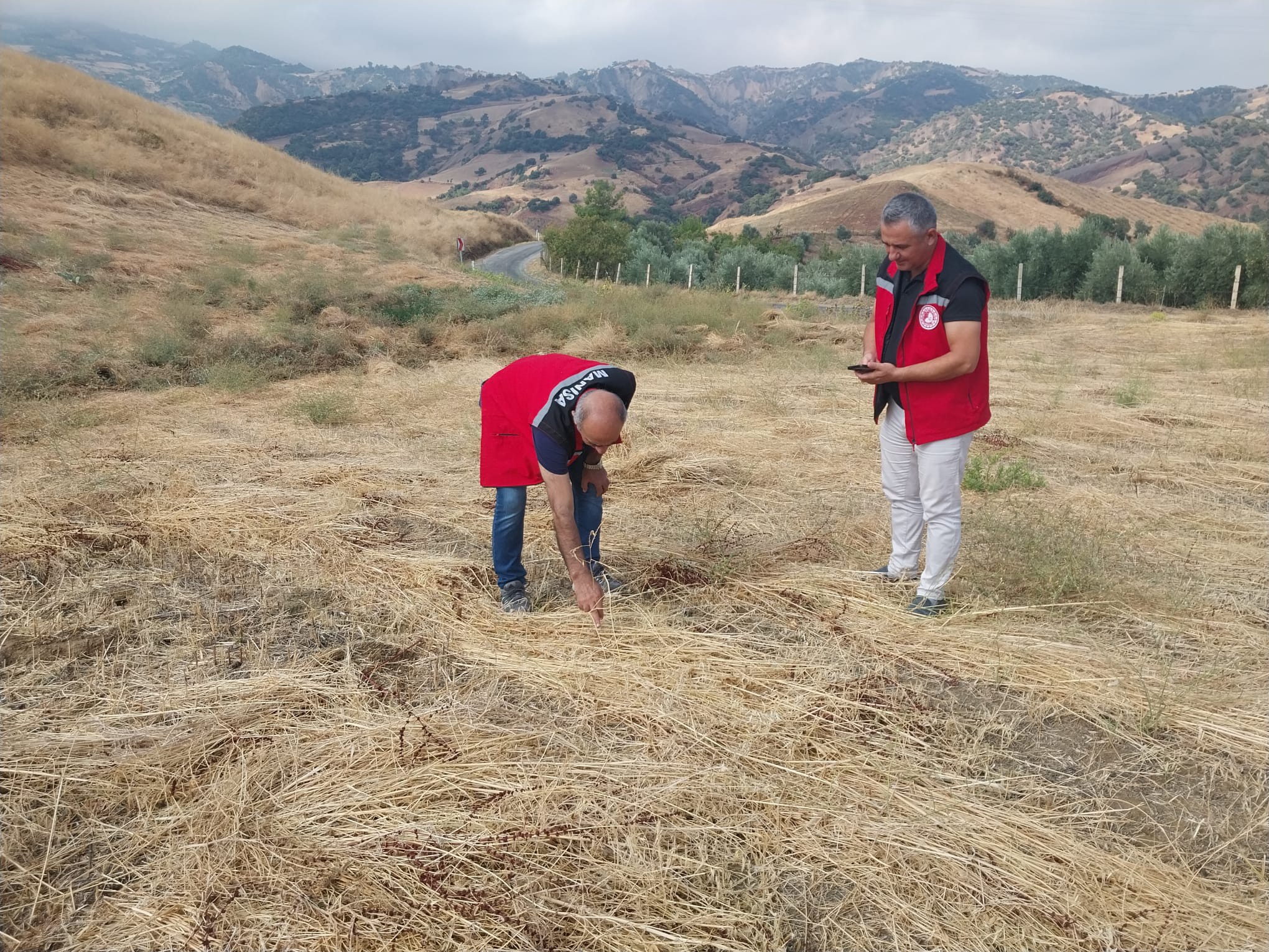 557547519 1232310615580491 3038141624321241965 N