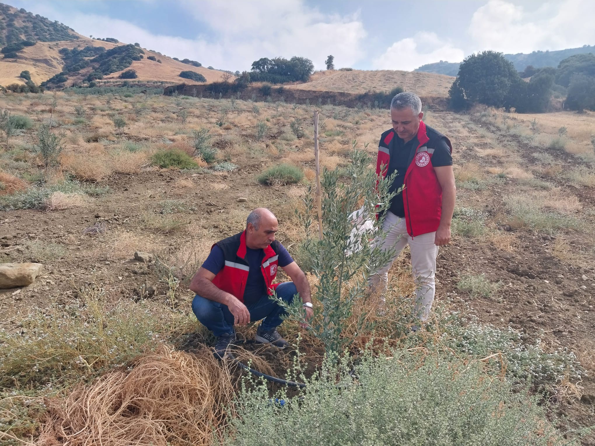 557752770 1232310648913821 6220744445478503648 N