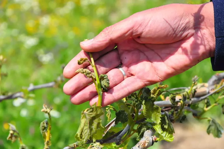 67F7D05Ad80654846C0782C9