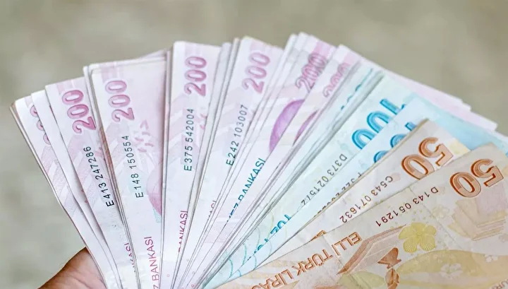 78618672 Zirai Don Destegi 100