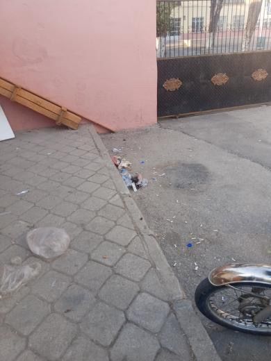 7A948912 E2Fc 4Daa 9Fc8 B9B9C0F50991