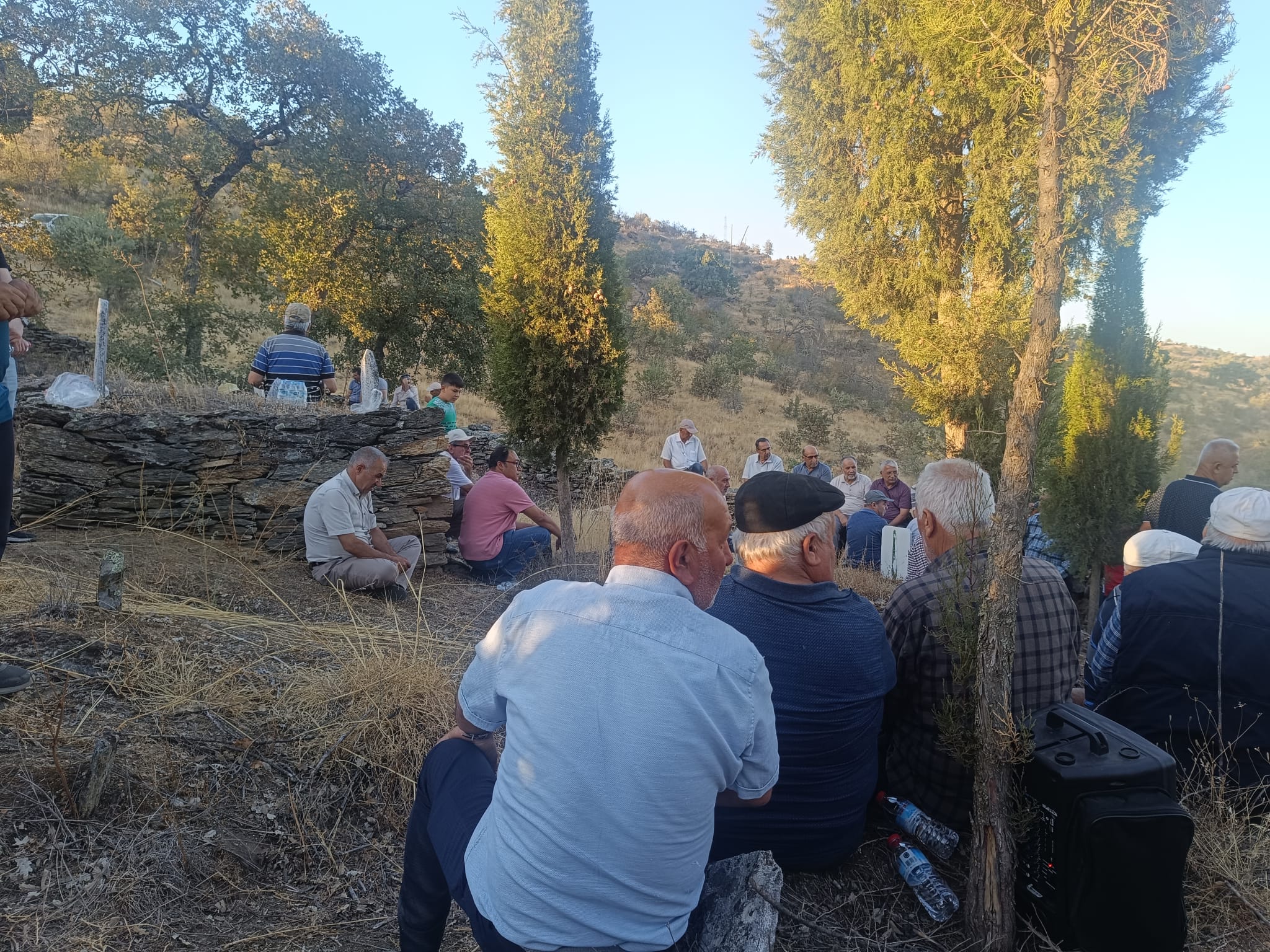 7Dfb3E65 4Db0 48E0 B1D0 1Aa2674Ded8A